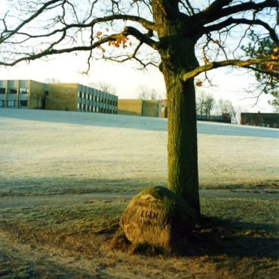 Kvindernes Eg, Vestre kirkevej, Himmelev, u.å. 