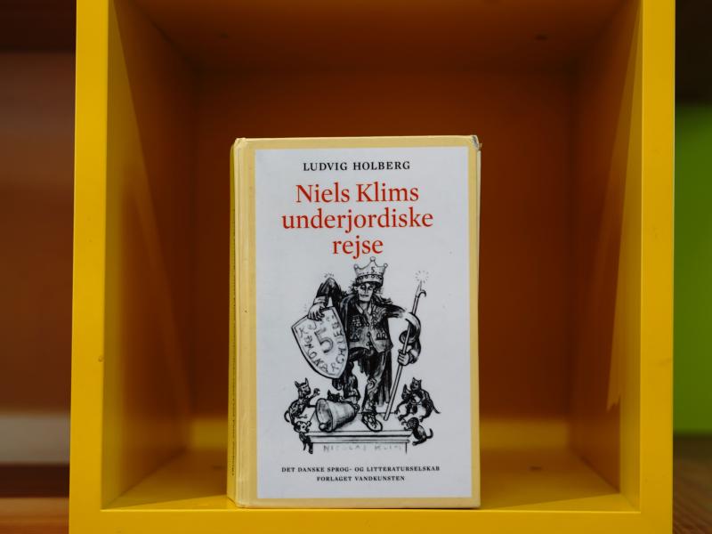 Foto af bogen Niels Klims underjordiske rejse i reol