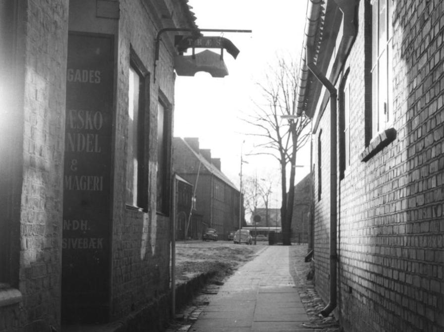 Snæversti. Fot. Henrik Clausen