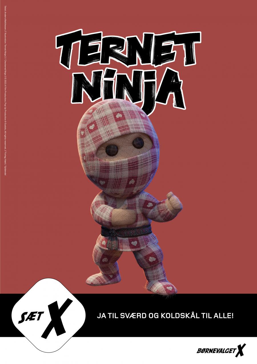 Ternet ninja
