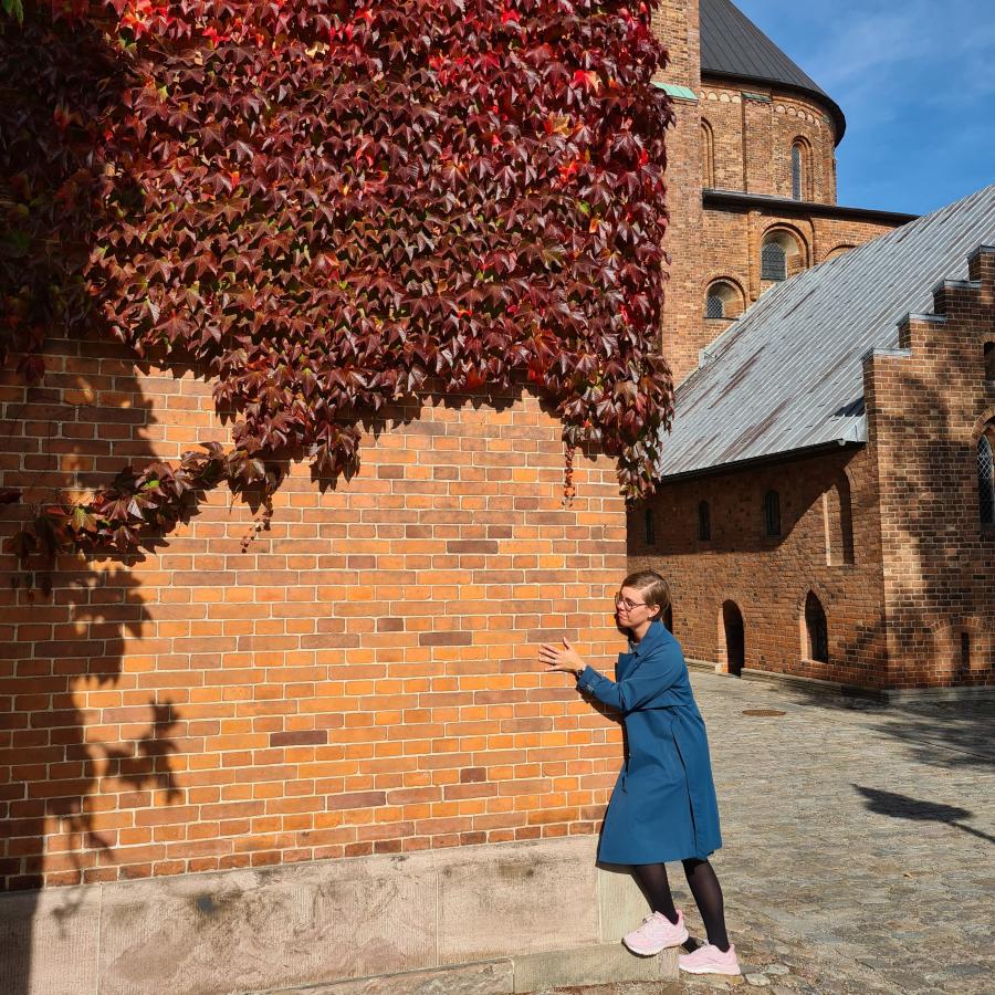 Hun lagde armene om Roskilde Domkirke